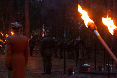 Narodowe Święto Niepodległości. Zdjęcia Damian Dobek.