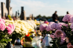 70D_231101_7326